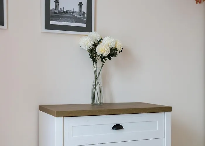 Daire Kosinskiego By Renters