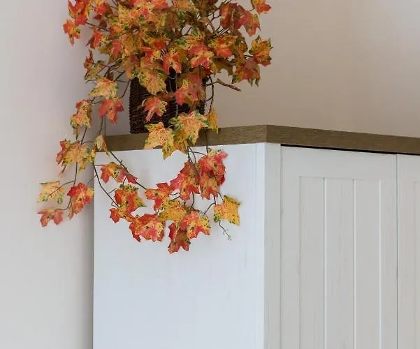 Daire Kosinskiego By Renters *